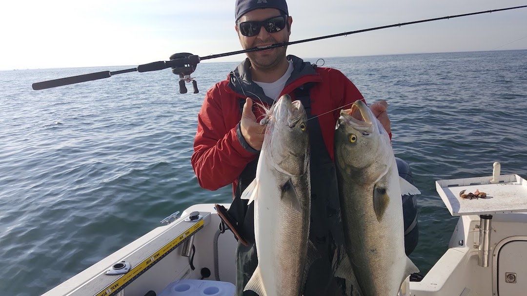 Read more about the article How-To Bluefish Fishing