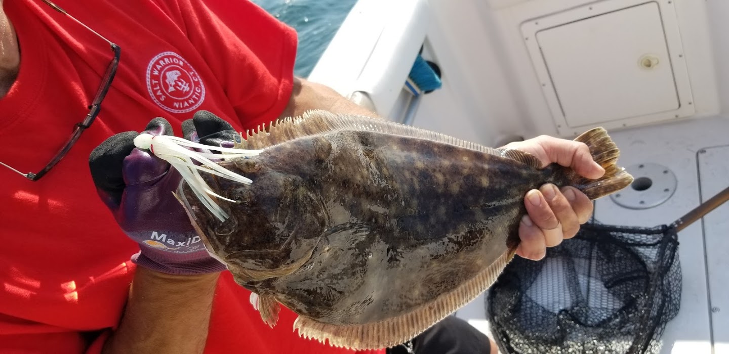 How-To Fluke Fishing - The Salt Warrior LLC